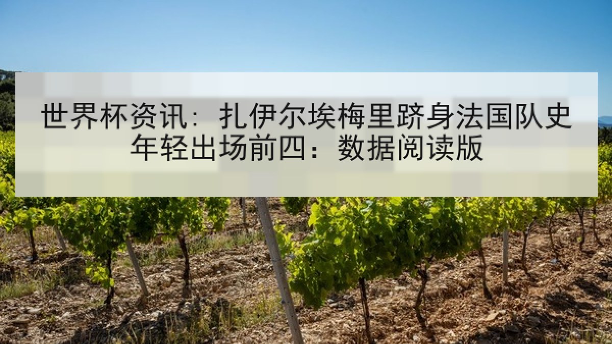 世界杯资讯: 扎伊尔埃梅里跻身法国队史年轻出场前四：数据阅读版