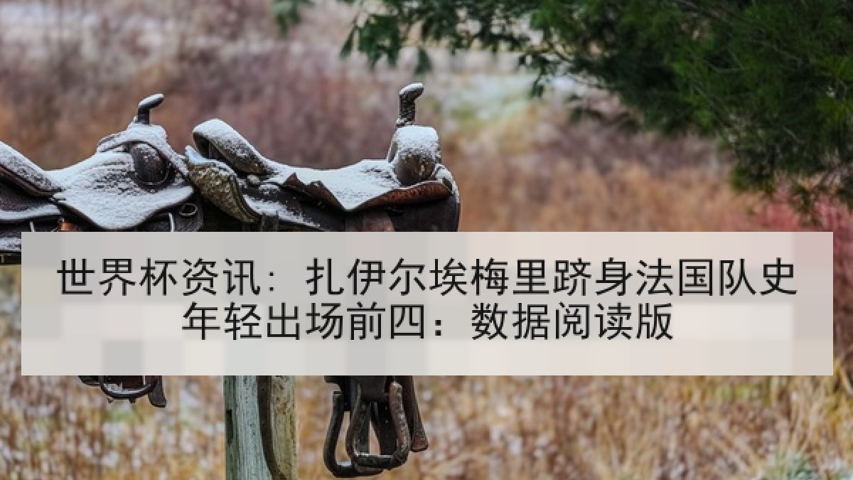 世界杯资讯: 扎伊尔埃梅里跻身法国队史年轻出场前四：数据阅读版
