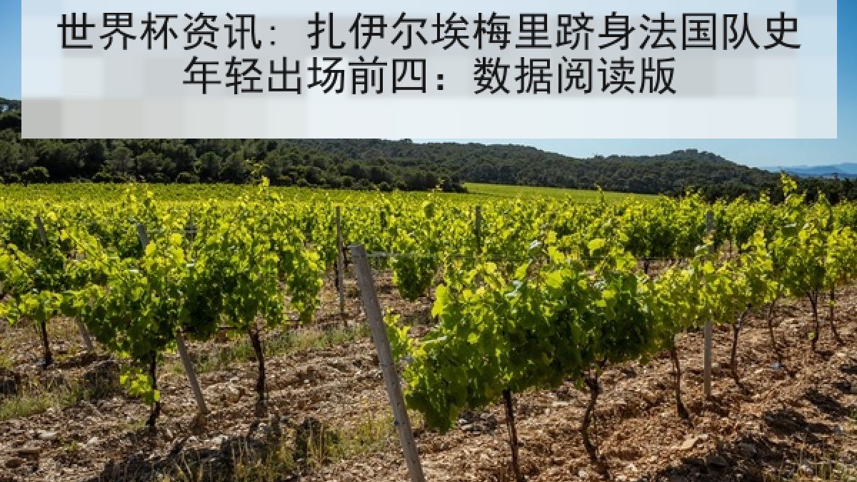 世界杯资讯: 扎伊尔埃梅里跻身法国队史年轻出场前四：数据阅读版
