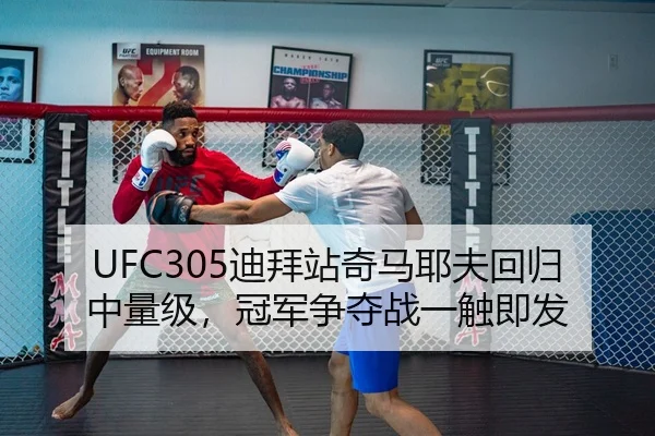 UFC305迪拜站奇马耶夫回归中量级，冠军争夺战一触即发