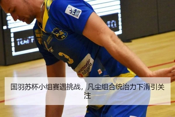 guo-yu-su-bei-xiao-zu-sai-yu-tiao-zhan-fan-chen-zu-he-tong-zhi-li-xia-hua-yin-guan-zhu-2-296.jpg