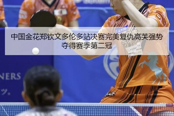 zhong-guo-jin-hua-zheng-qin-wen-duo-lun-duo-zhan-jue-sai-wan-mei-fu-chou-gao-fu-qiang-shi-duo-de-sai-ji-di-er-guan-2-572.jpg