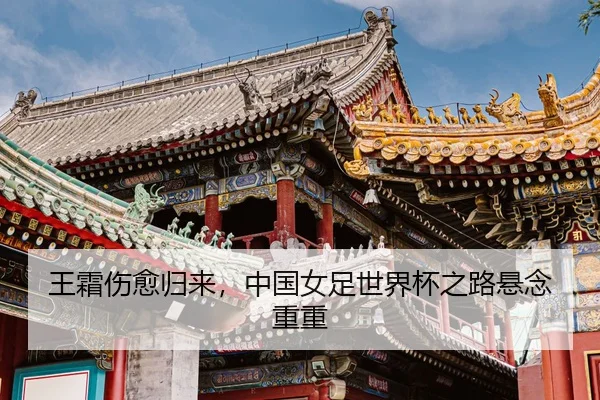 wang-shuang-shang-yu-gui-lai-zhong-guo-nv-zu-shi-jie-bei-zhi-lu-xuan-nian-chong-chong-2-741.jpg