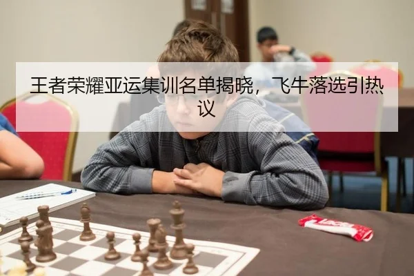 王者荣耀亚运集训名单揭晓，飞牛落选引热议