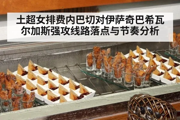 土超女排费内巴切对伊萨奇巴希瓦尔加斯强攻线路落点与节奏分析
